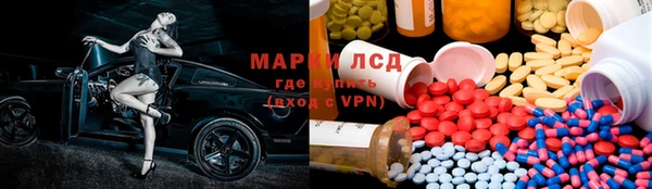 стаф Дмитровск