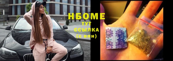 стаф Дмитровск