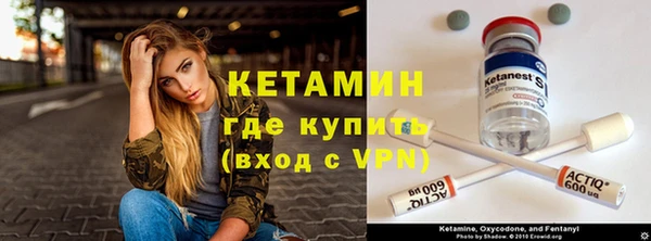 стаф Дмитровск