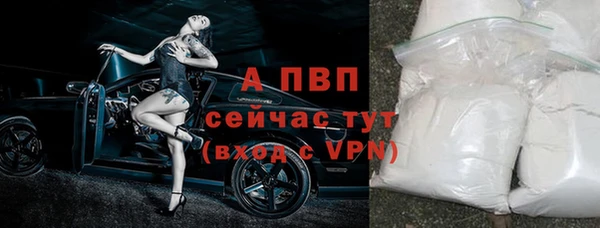 стаф Дмитровск