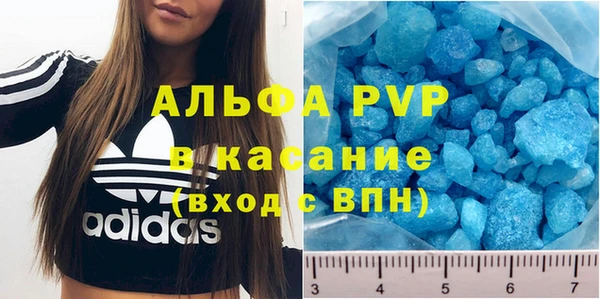 стаф Дмитровск