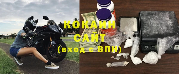 стаф Дмитровск
