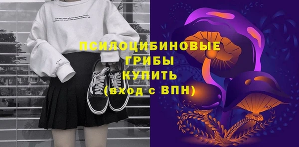 стаф Дмитровск