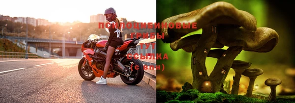 стаф Дмитровск